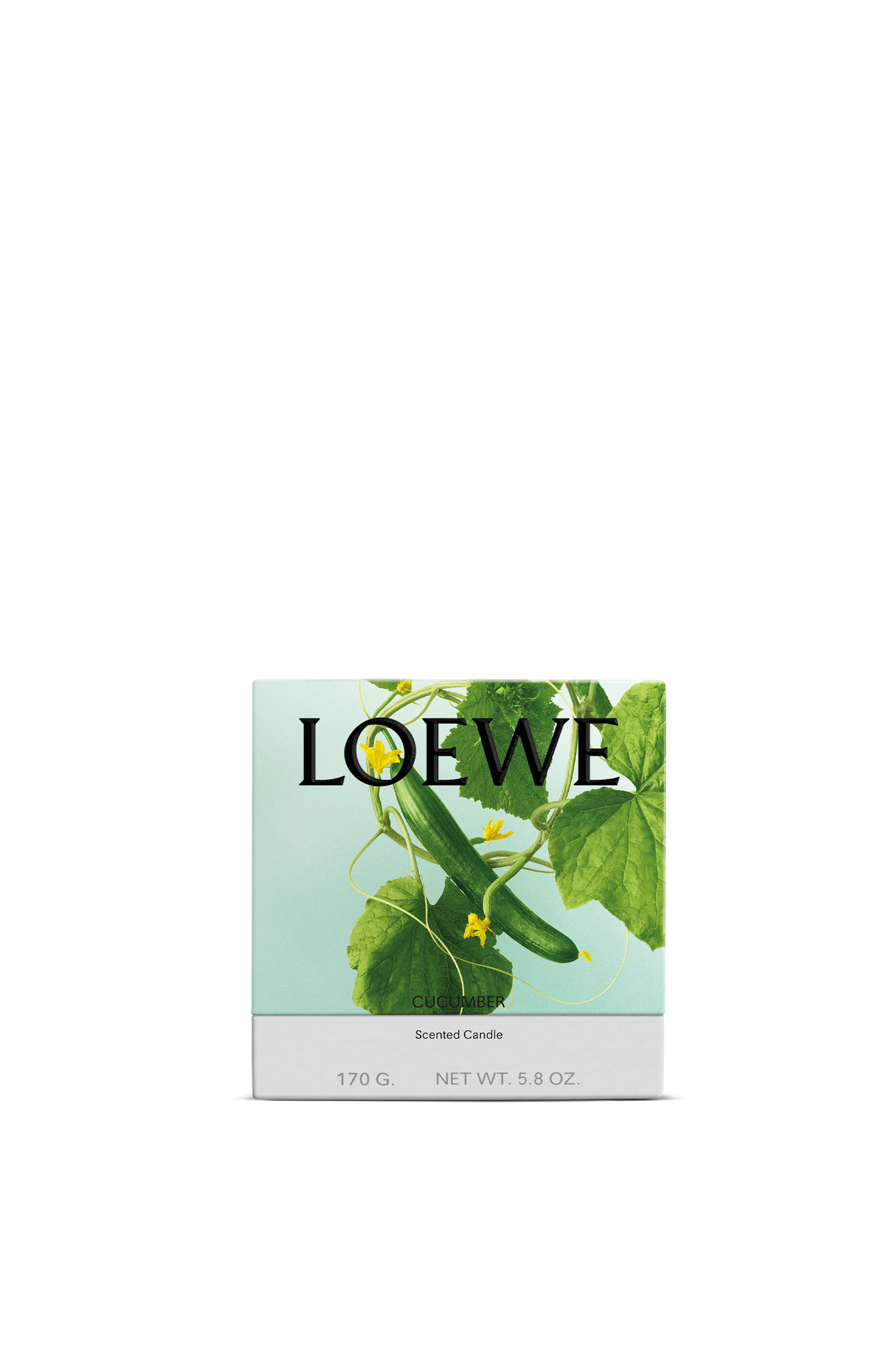 キューカンバー キャンドル スモール ライトグリーン - LOEWE