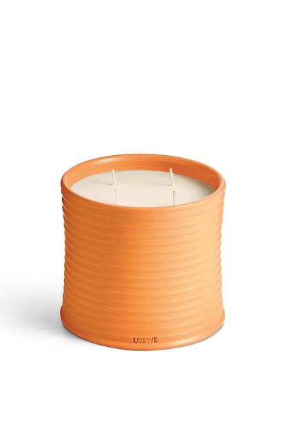 LOEWE Large Orange Blossom Candle 亮柑橘色 plp_rd