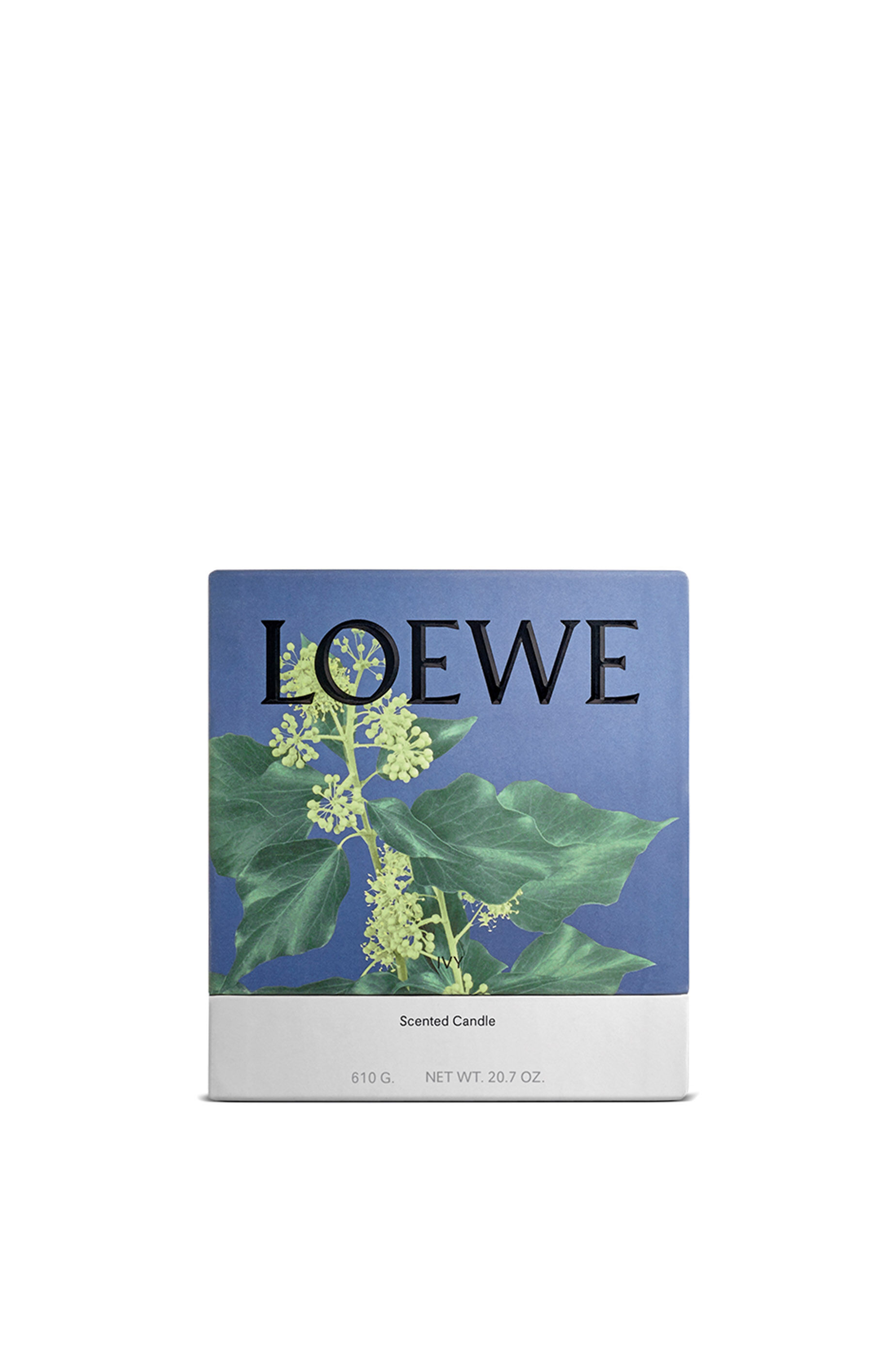 LOEWE アイビーキャンドル