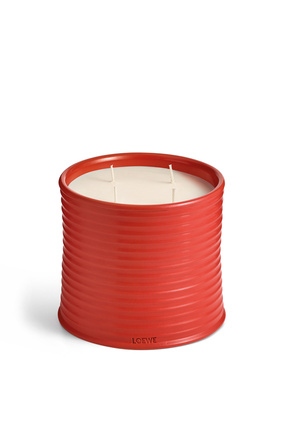 LOEWE Large Tomato Leaves candle Red