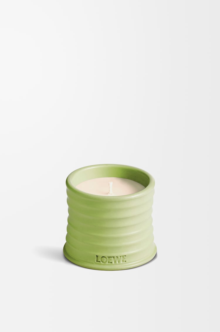 LOEWE Small Cucumber candle Light Green