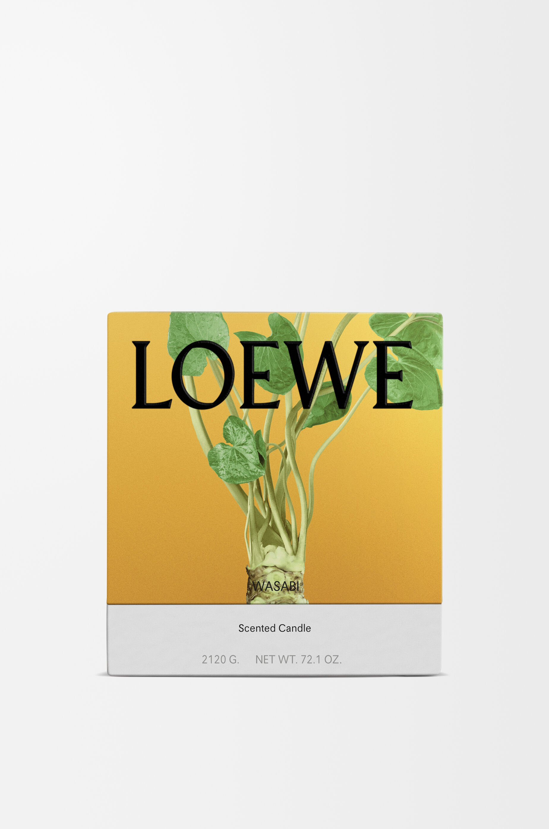 ワサビ キャンドル ラージ イエロー - LOEWE