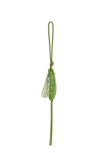 LOEWE Charm Pea pod en piel de ternera Verde/Jade Primaveral
