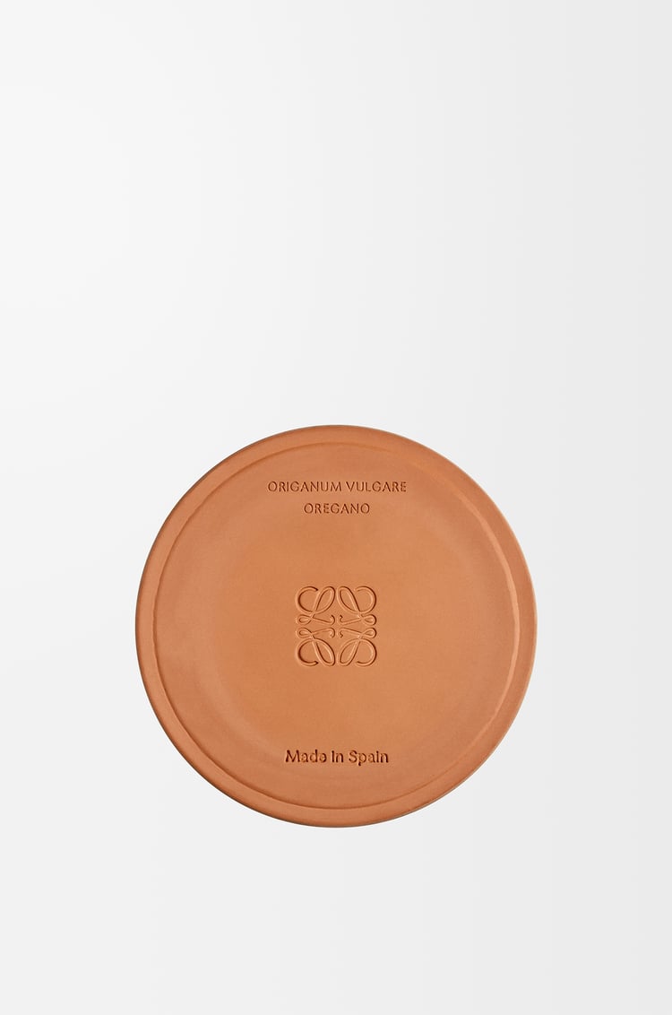 LOEWE Medium Oregano candle White