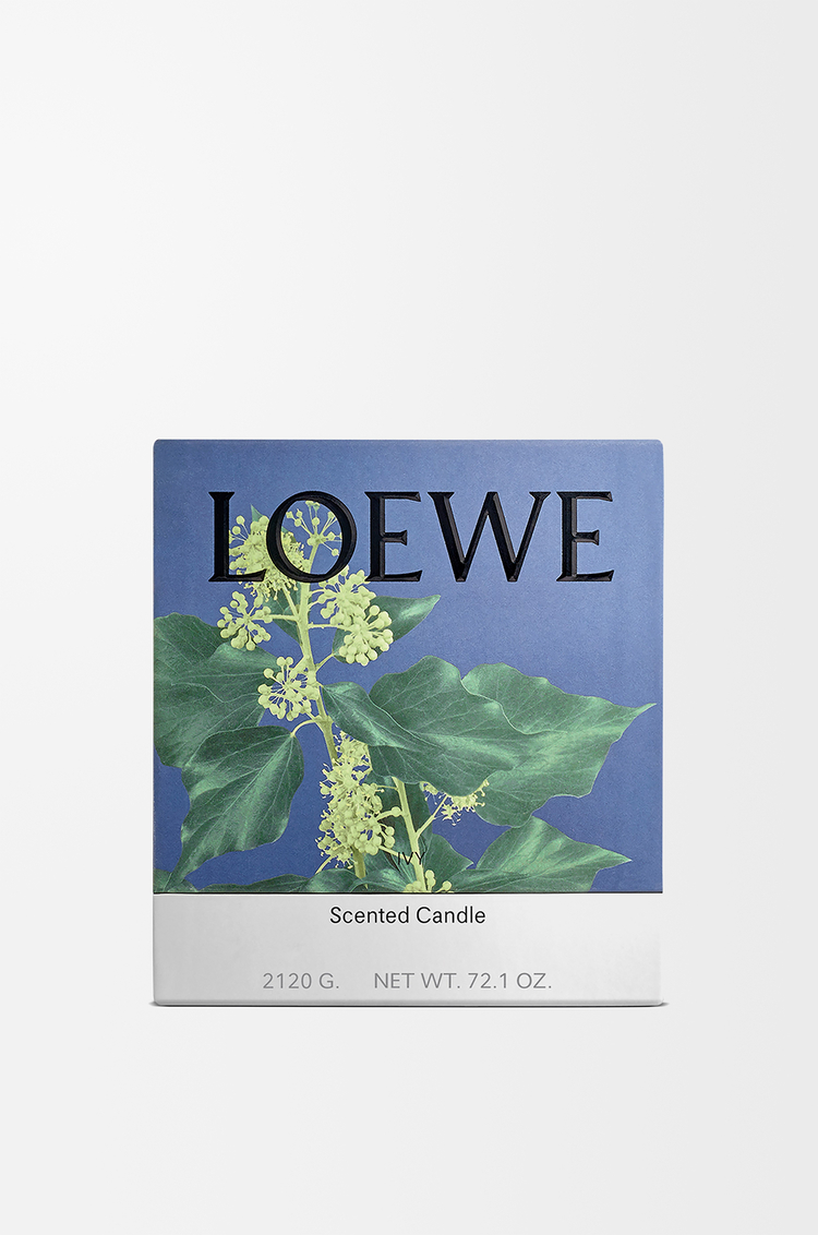 LOEWE Large Ivy candle Light Pink