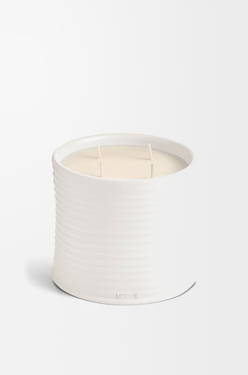 LOEWE Large Oregano candle White