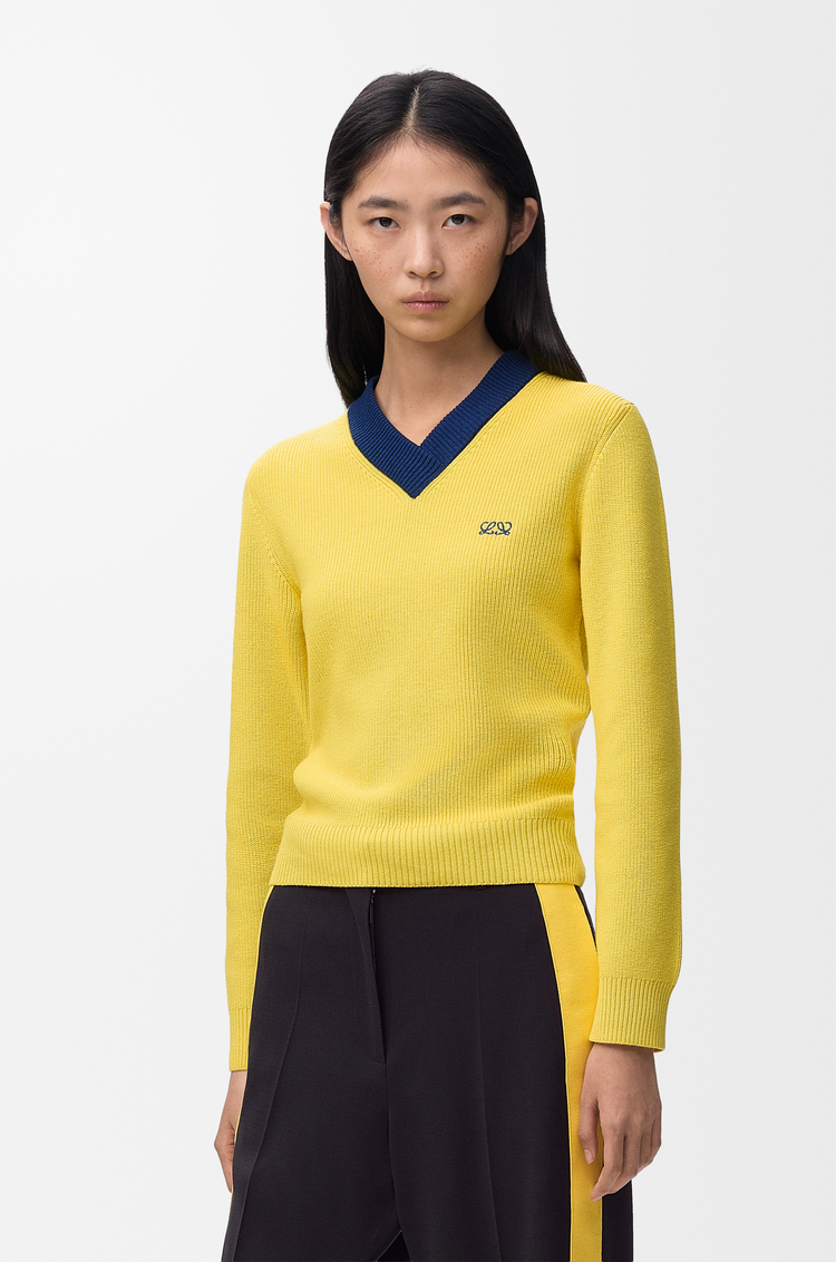 LOEWE Jersey en algodón y lana Amarillo/Azul
