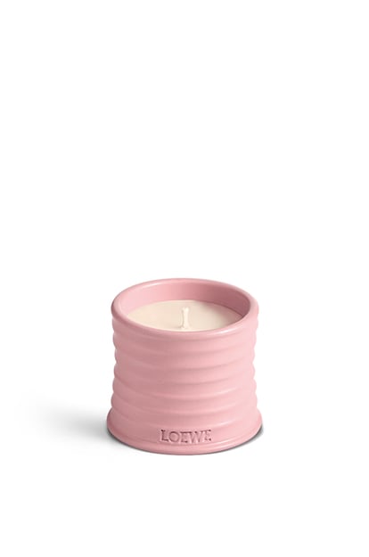 LOEWE Ivy candle 淺粉紅 plp_rd