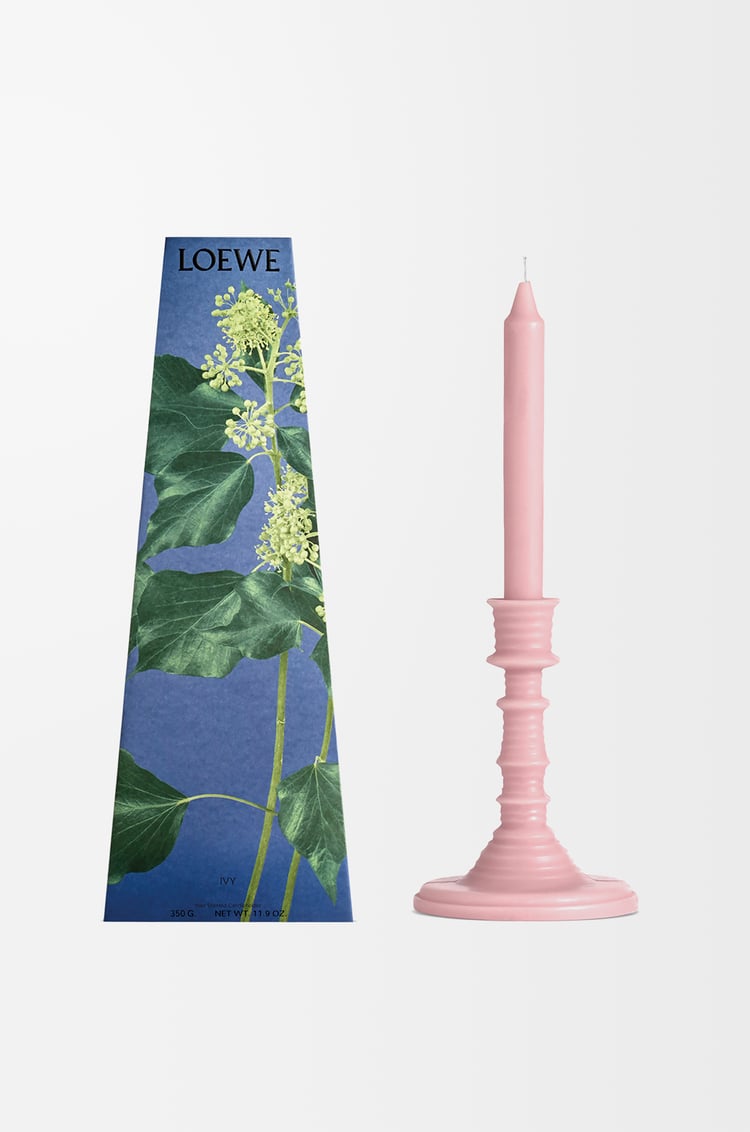 LOEWE アイビー ワックス キャンドルホルダー ライトピンク