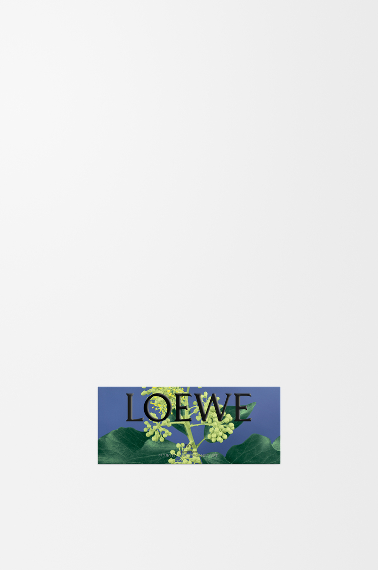 LOEWE Saponetta grande Ivy Rosa Chiaro