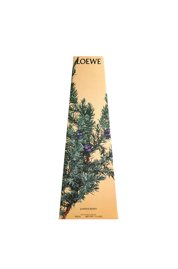 ジュニパーベリー ワックス キャンドルホルダー オレンジ LOEWE