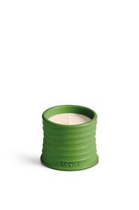 LOEWE Luscious Pea candle Light Green