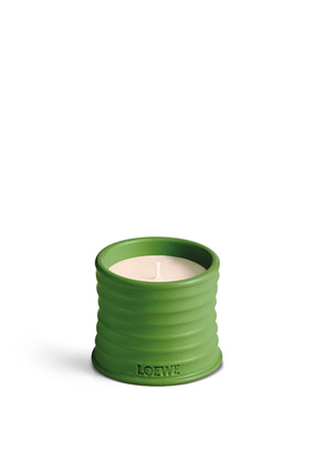 LOEWE Luscious Pea candle Light Green plp_rd