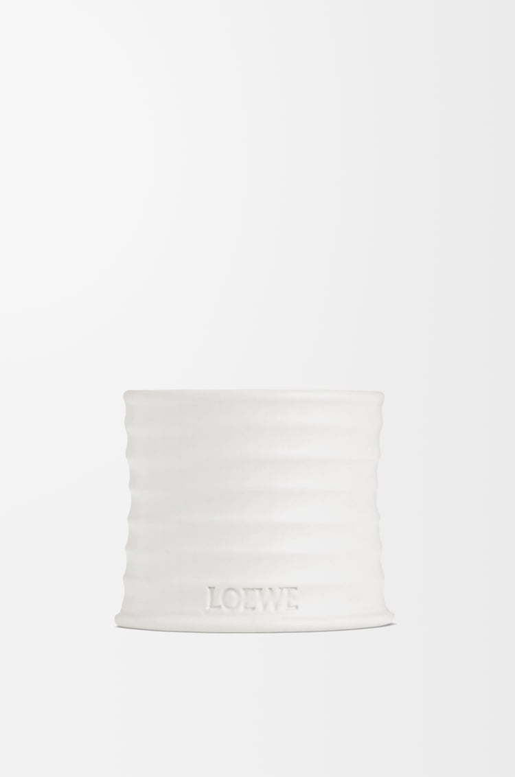 LOEWE Small Oregano candle White
