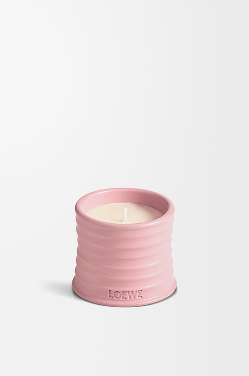 LOEWE Vela pequeña Ivy Rosa Claro plp_rd