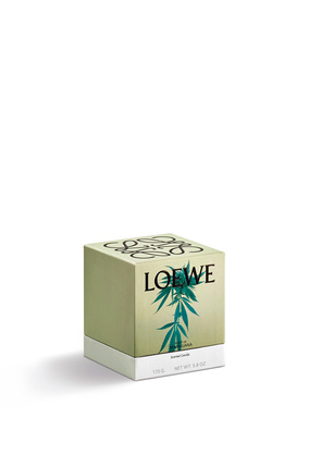 LOEWE Scent of Marihuana candle Dark Green plp_rd