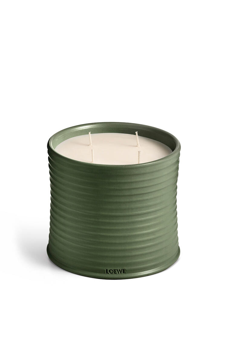 LOEWE Large scent of Marihuana candle Dark Green