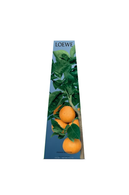 LOEWE Orange Blossom Wax Candle holder 亮柑橘色 plp_rd