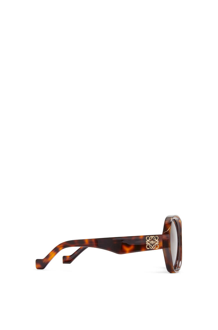 LOEWE Elipse sunglasses in acetate Shiny Classic Havana