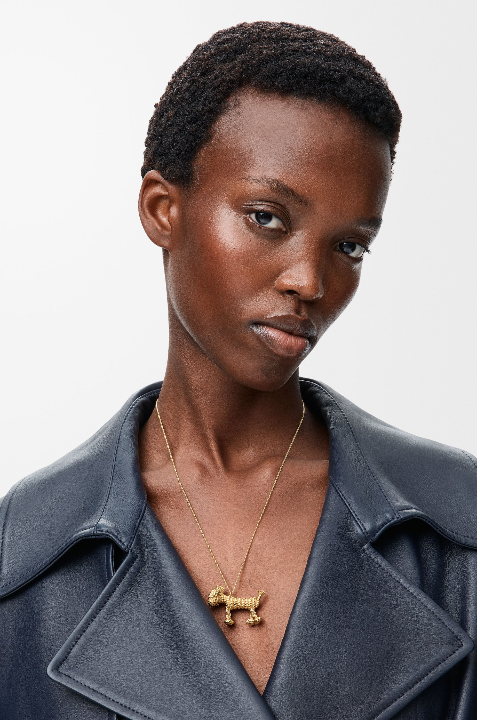 Sausage dog necklace Gold - LOEWE