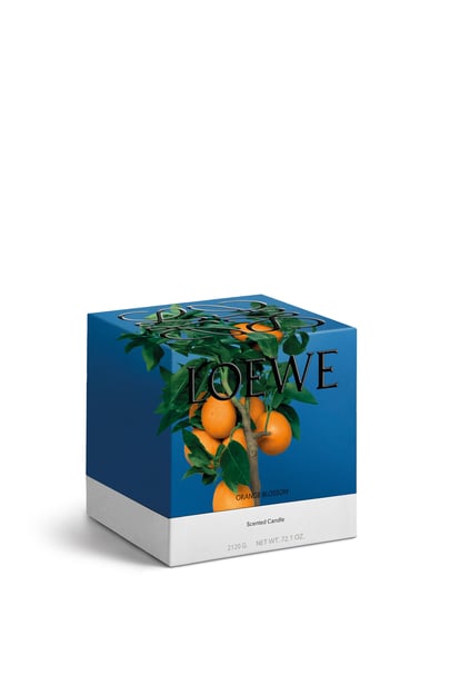 LOEWE Vela mediana Orange Blossom Mandarina plp_rd