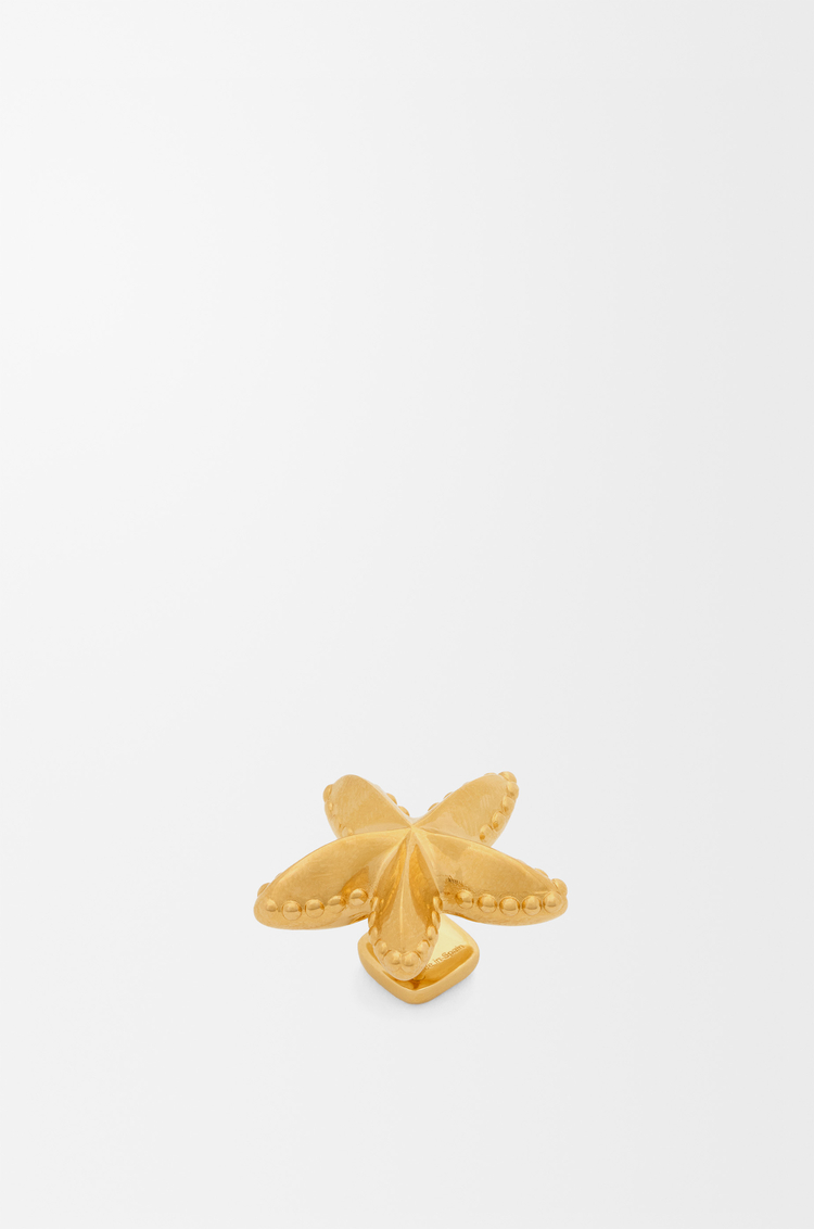 LOEWE Pin Estrella de mar Dorado