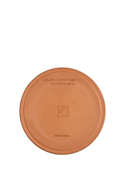LOEWE Large Tomato Leaves candle Red plp_rd