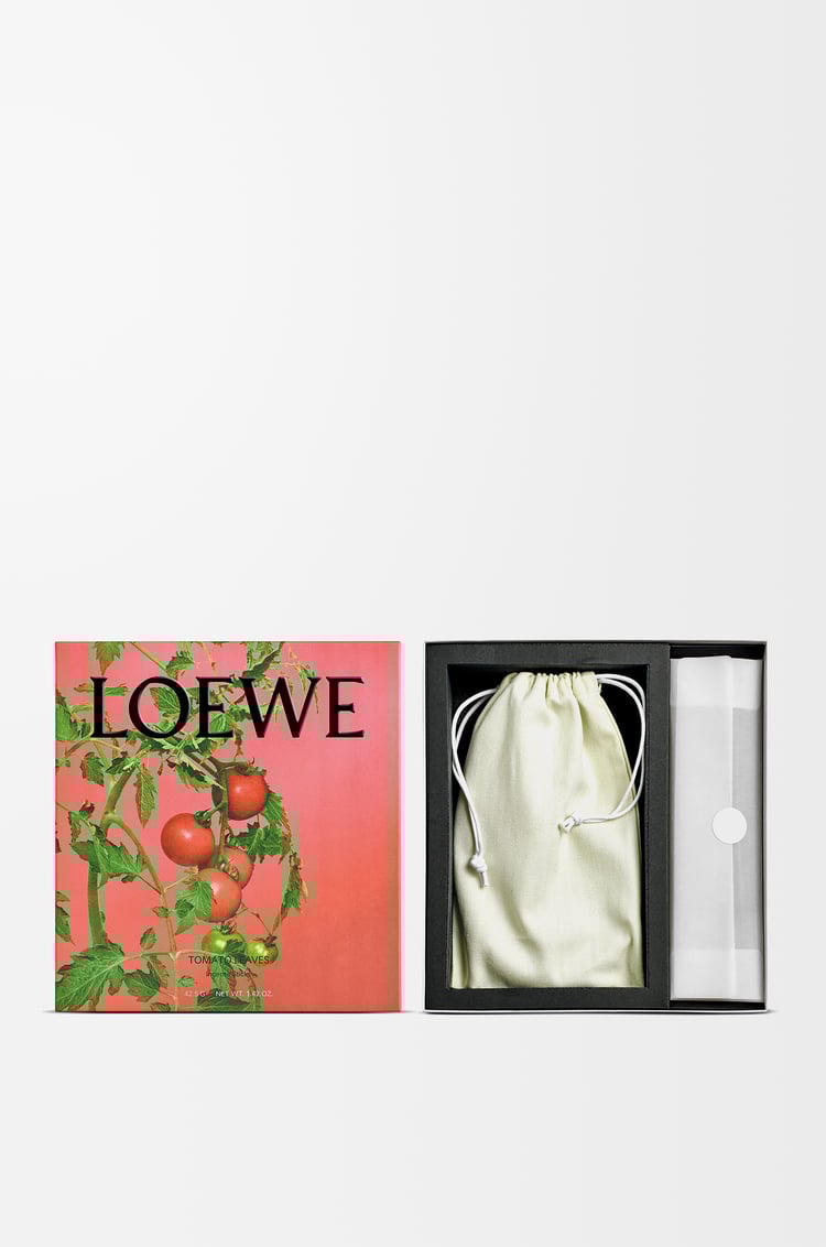 LOEWE Set de incienso Tomato Leaves Rojo