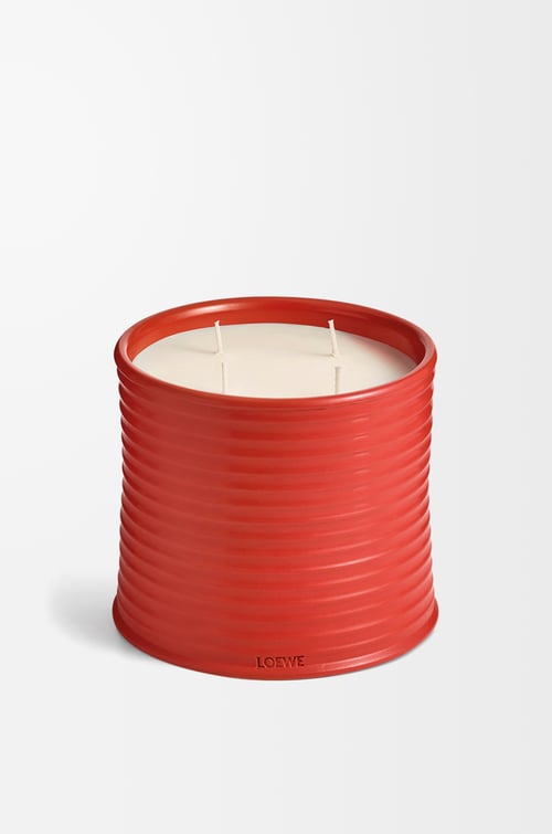 LOEWE Large Tomato Leaves candle Red