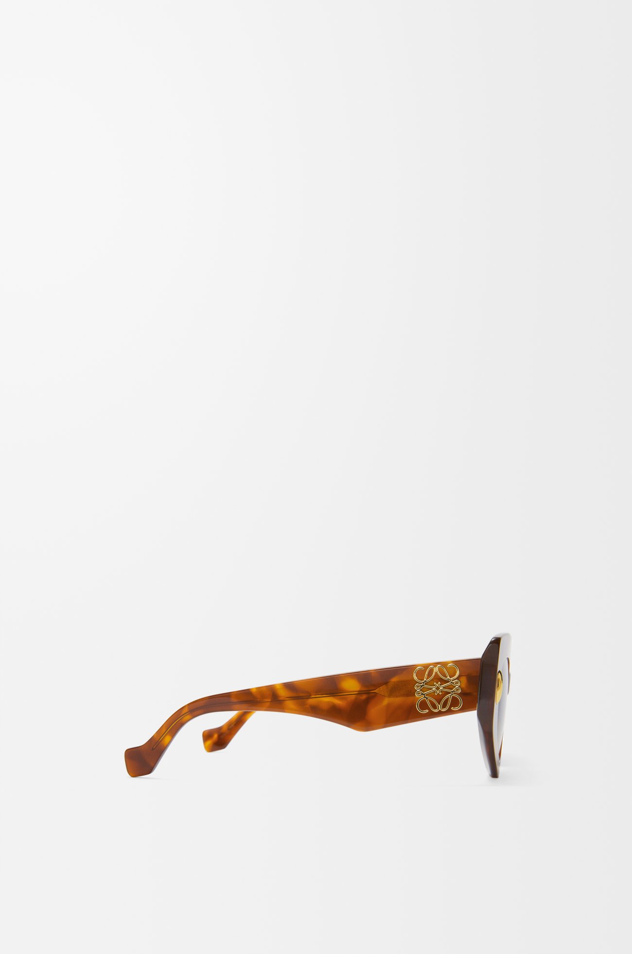 LOEWE バタフライ スクリーン サングラス フレームドハバナ