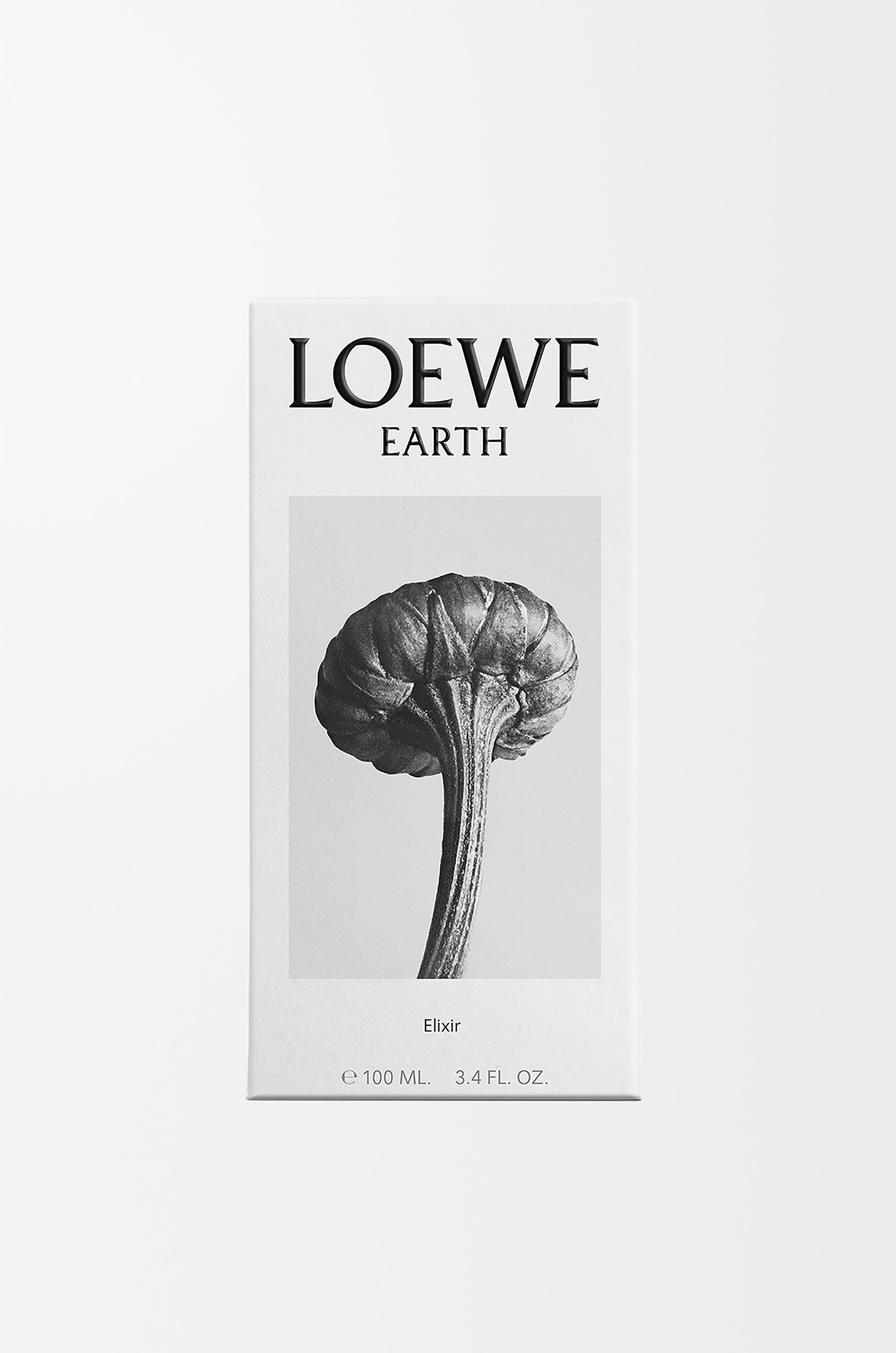 LOEWE Earth Elixir 100 ml Colourless - LOEWE International