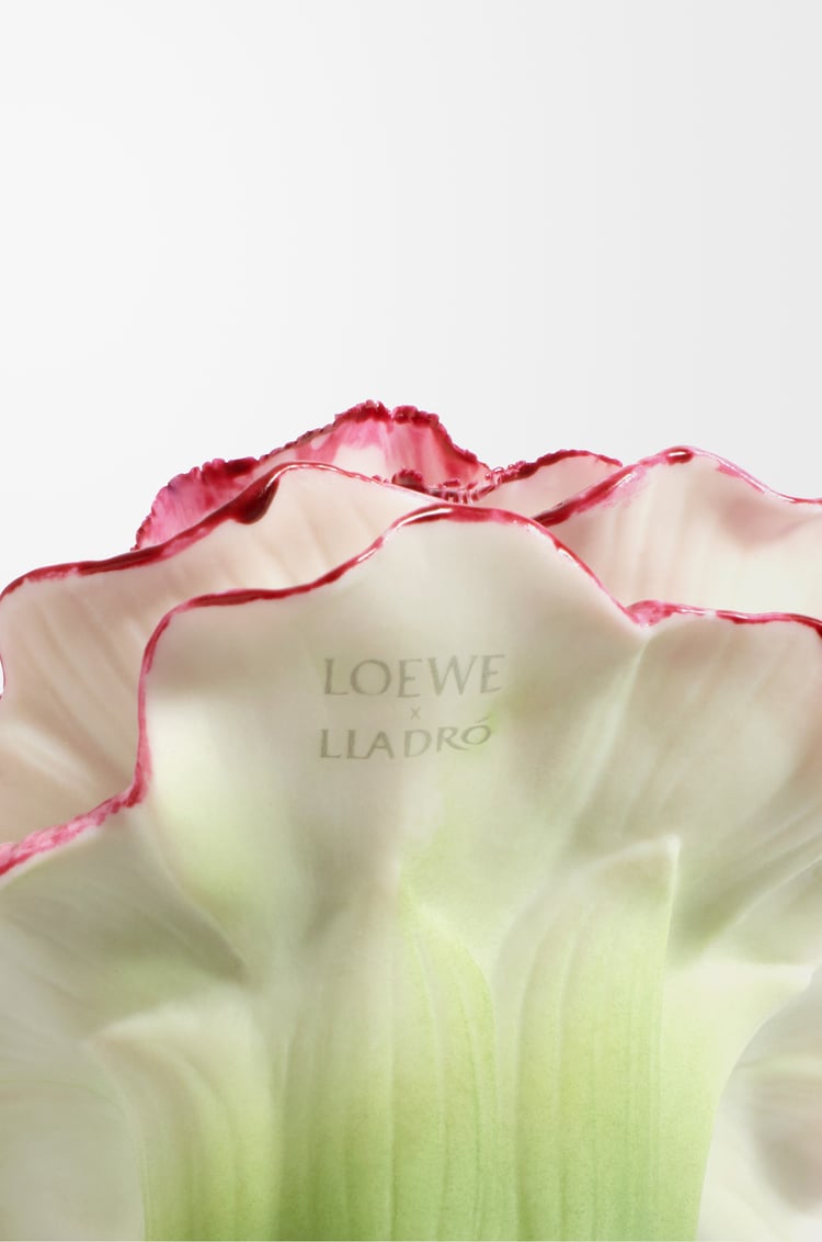 LOEWE LOEWE Earth x LLADRÓ Colourless