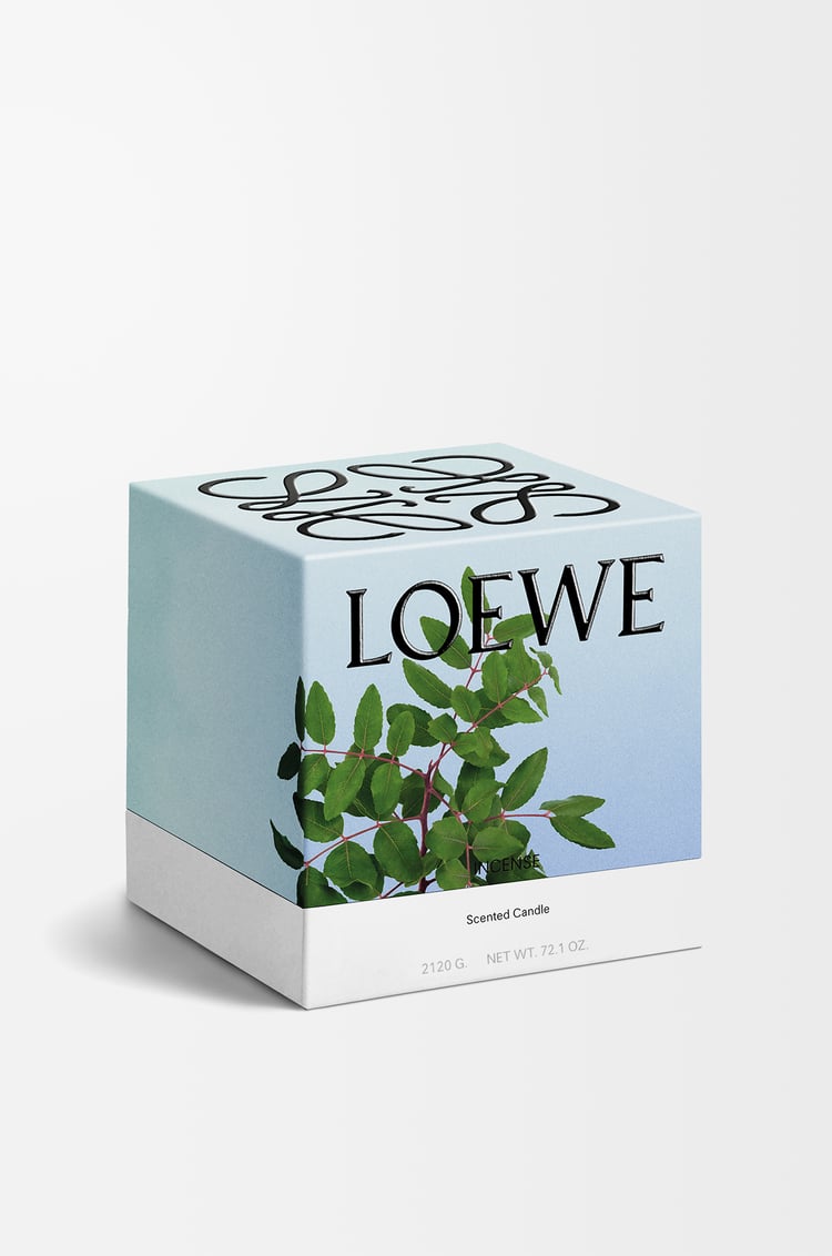 LOEWE 大型線香蠟燭 深藍色