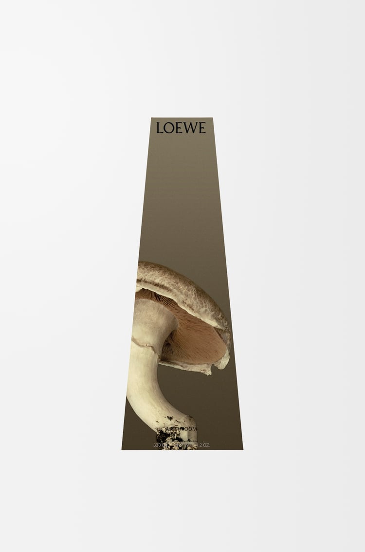 LOEWE Mushroom wax candleholder Light Grey