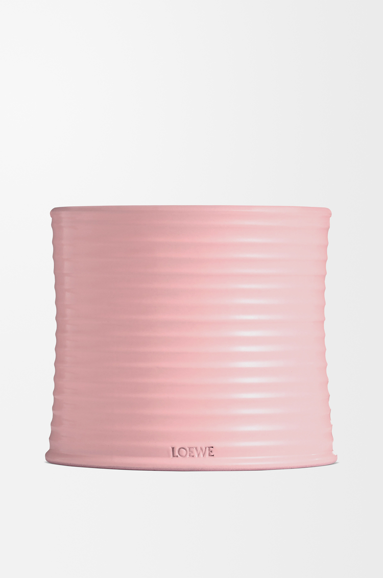 LOEWE Large Ivy candle Light Pink