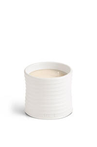 LOEWE Medium Oregano candle White