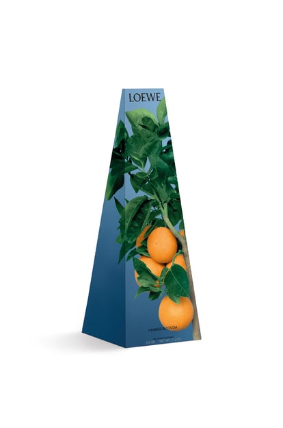 LOEWE Orange Blossom Wax Candle holder Bright Mandarin plp_rd