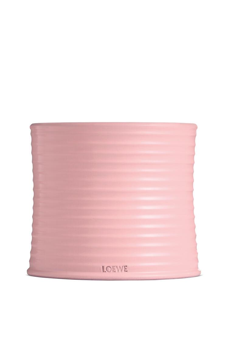 LOEWE Large Ivy candle Light Pink