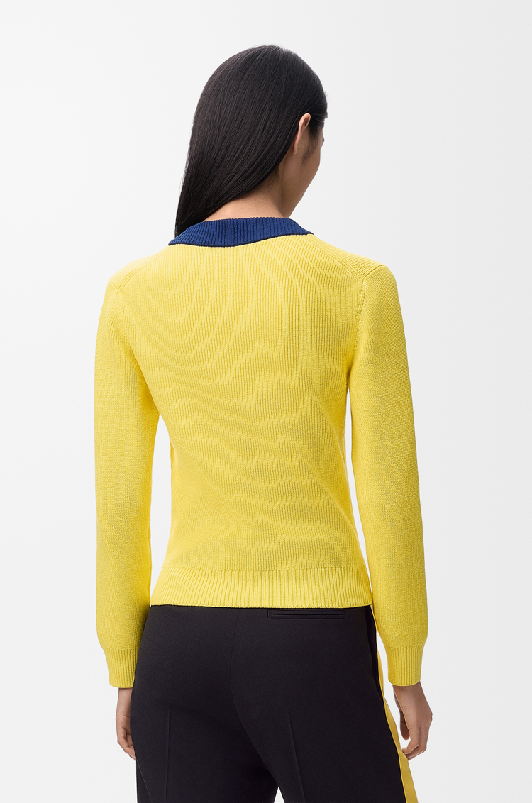 LOEWE Jersey en algodón y lana Amarillo/Azul