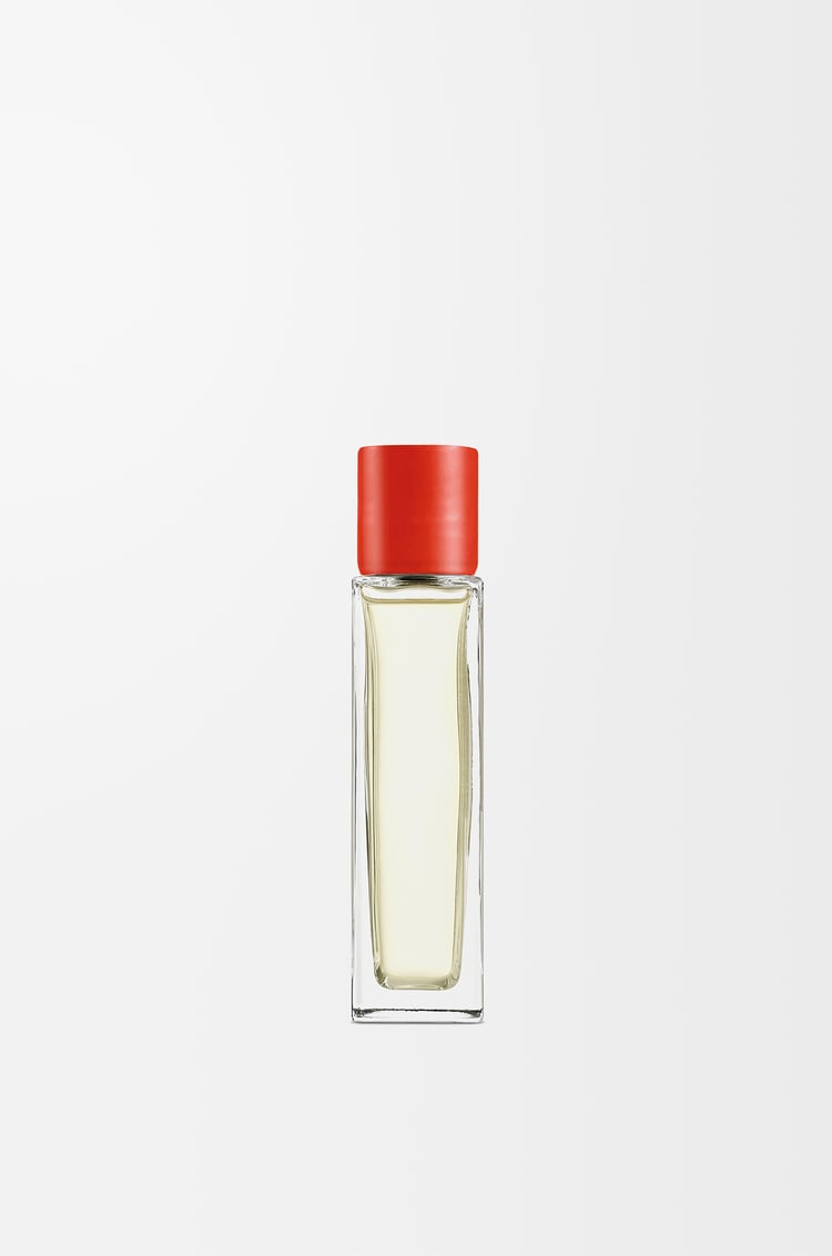 LOEWE Tomato Leaves room spray Red