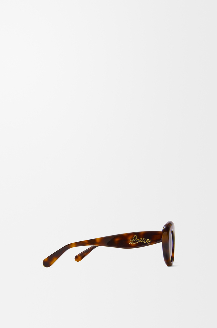 LOEWE Gafas de sol Dawn Marrón Habano