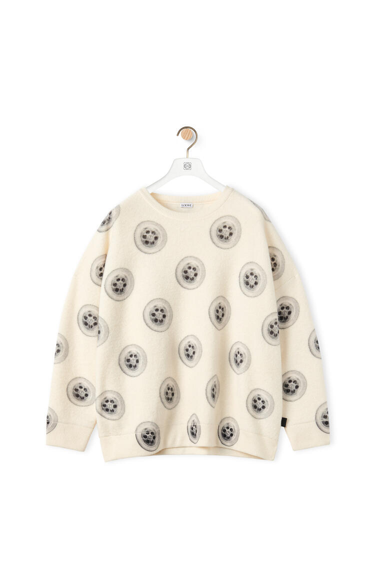 LOEWE Sinkhole printed sweater in wool Soft White