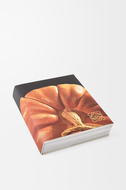 LOEWE Crafted World - Jonathan Anderson’s LOEWE White