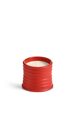 LOEWE Tomato Leaves candle Red