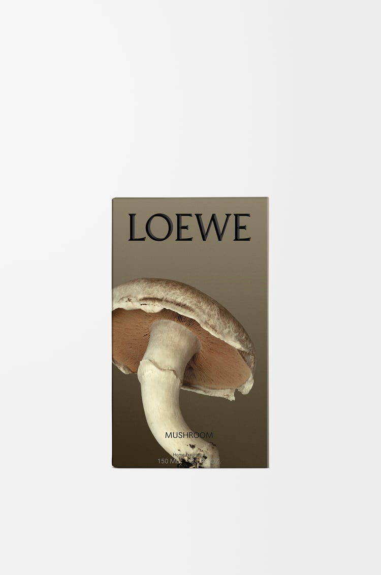 LOEWE Mushroom room spray Light Grey
