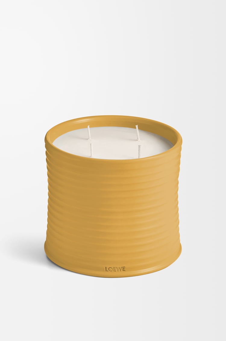 LOEWE Large Wasabi candle Yellow