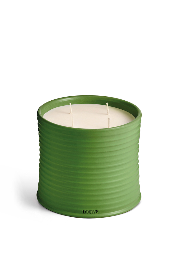 LOEWE Large Luscious Pea candle Light Green