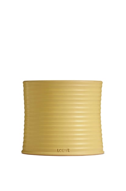 LOEWE Mittelgroße Honeysuckle Kerze Gelb plp_rd