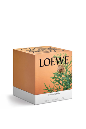 LOEWE Large Cypress Balls candle Baby Blue plp_rd