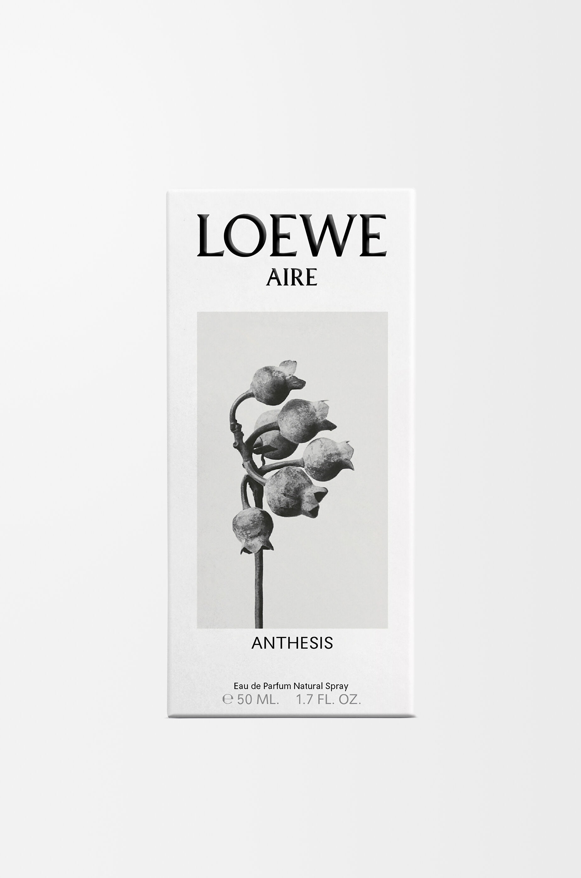 商品画像：ロエベ アイレ アンティシス オードゥ パルファム 50ml 無色 - LOEWE 1
